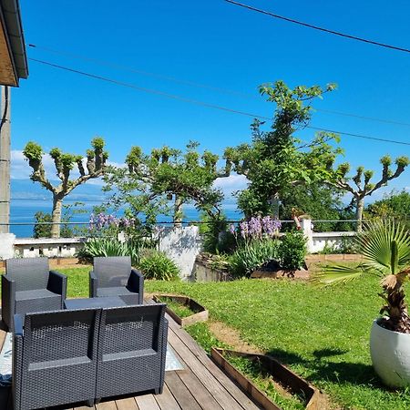 Appartement Cozy 1 Panoramique Lac Leman Thonon-Les-Bains Exteriér fotografie
